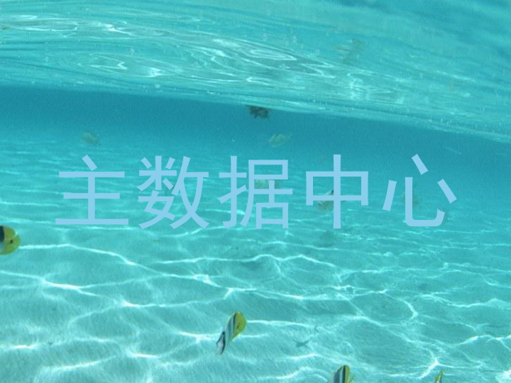主数据中心