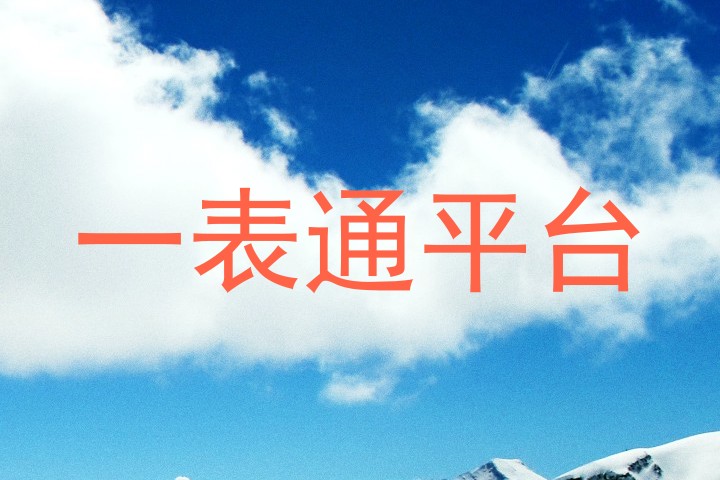 一表通平台