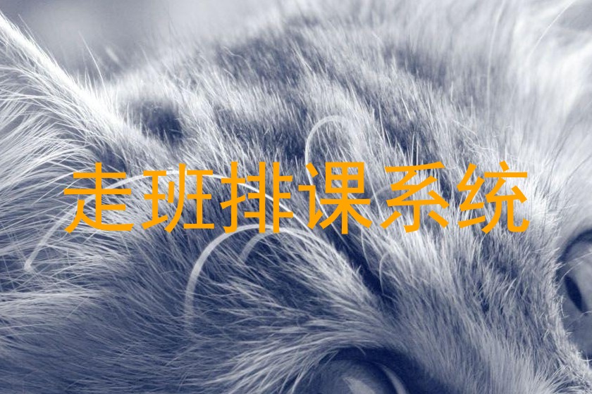 走班排课系统