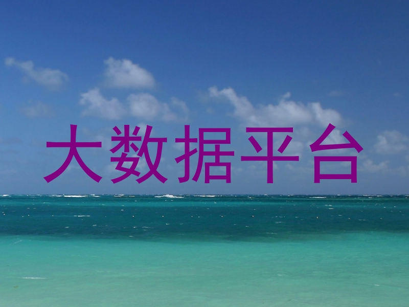 大数据平台