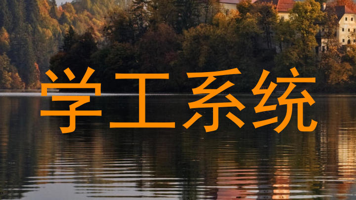 学工系统