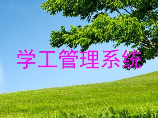 学工管理系统