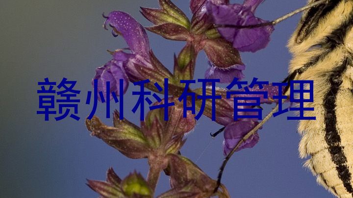 赣州科研管理