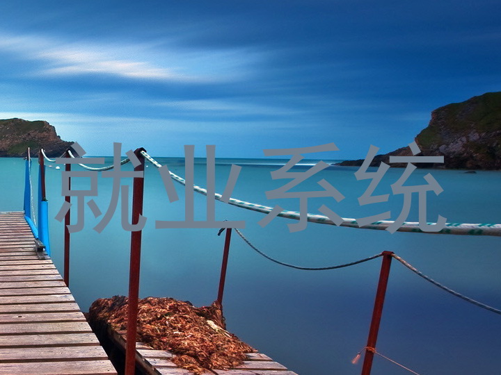 就业系统