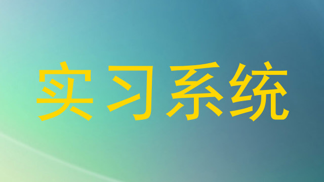 实习系统