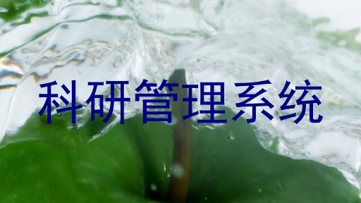 科研管理系统