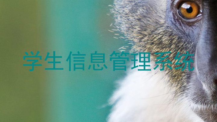 学生信息管理系统