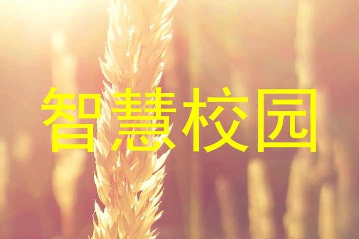 智慧校園