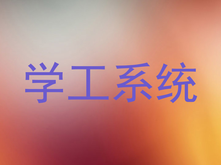 学工系统