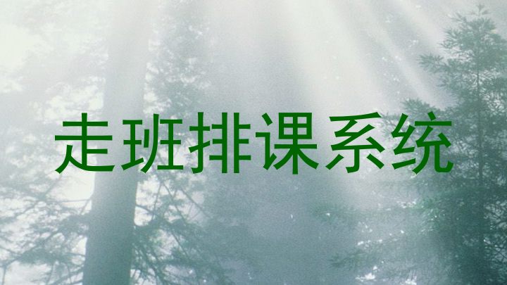 走班排课系统