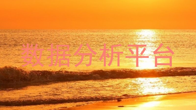 数据分析平台