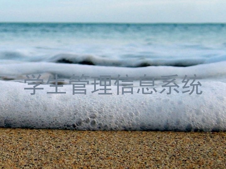 学生管理信息系统