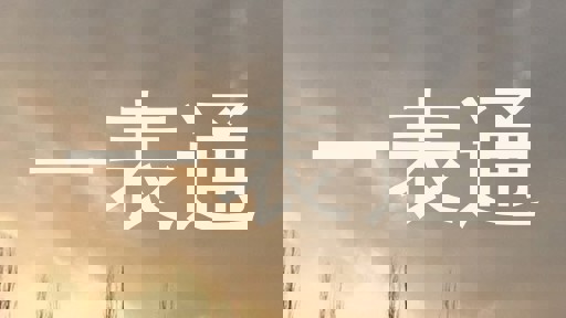 一表通