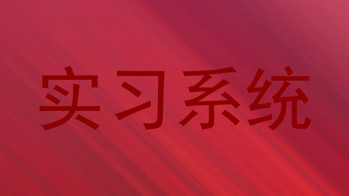 实习系统