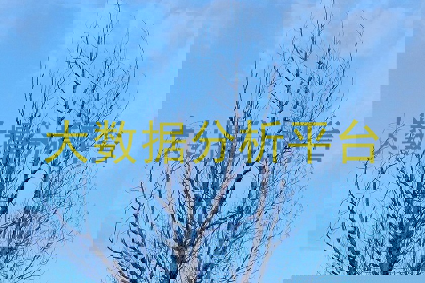 大数据分析平台