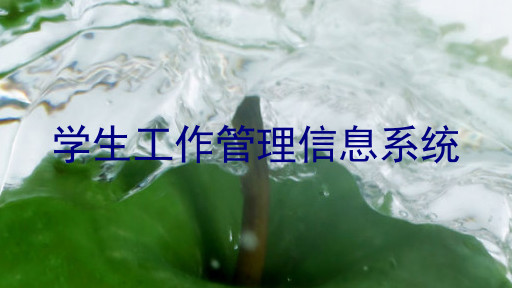 学生工作管理信息系统