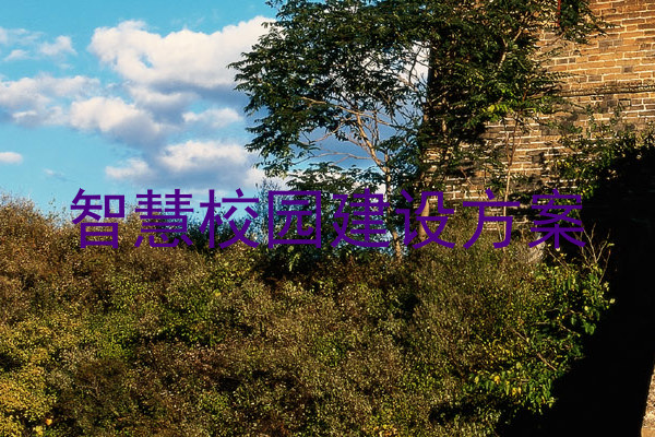 智慧校園建設(shè)方案
