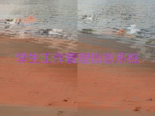 学生工作管理信息系统