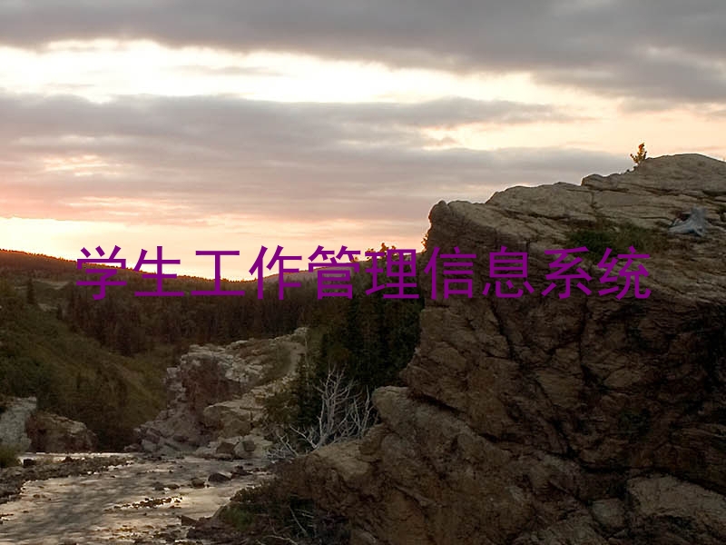 学生工作管理信息系统