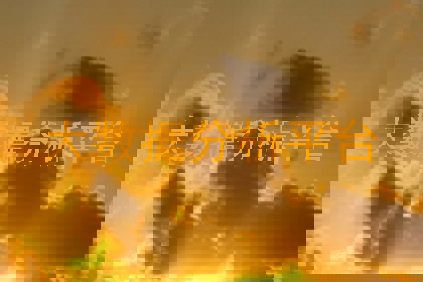 大数据分析平台