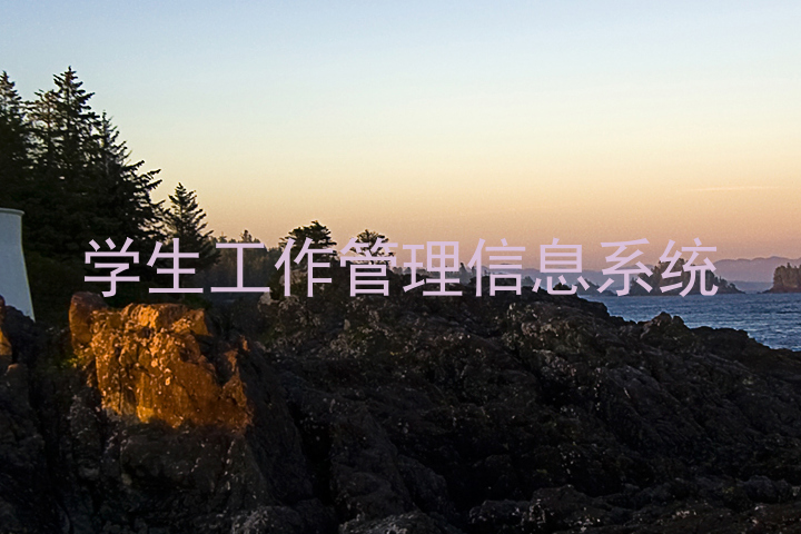 学生工作管理信息系统