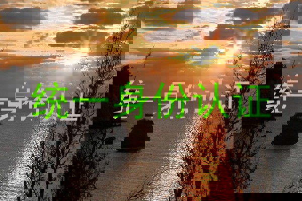 统一身份认证