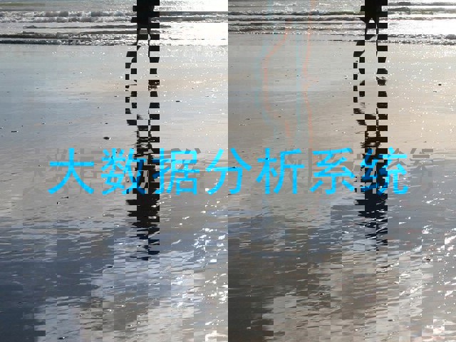 大数据分析系统