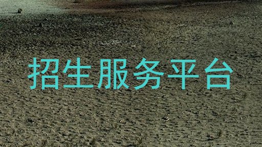 招生服务平台