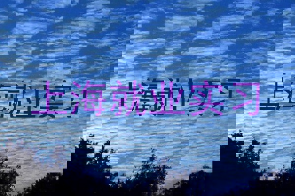 上海就业实习