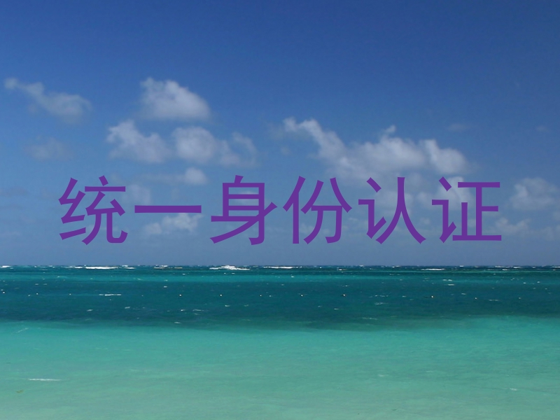 统一身份认证