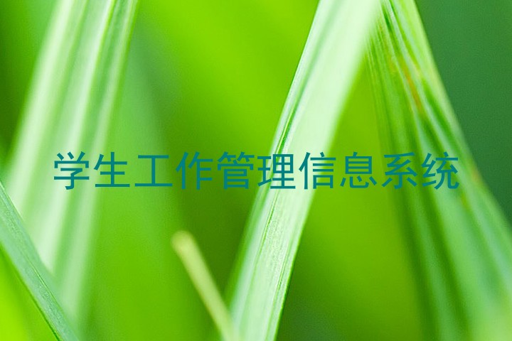 学生工作管理信息系统