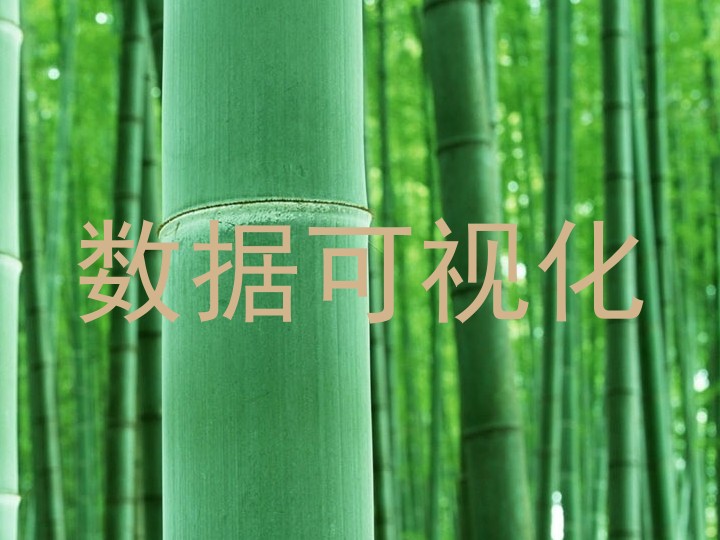 数据可视化