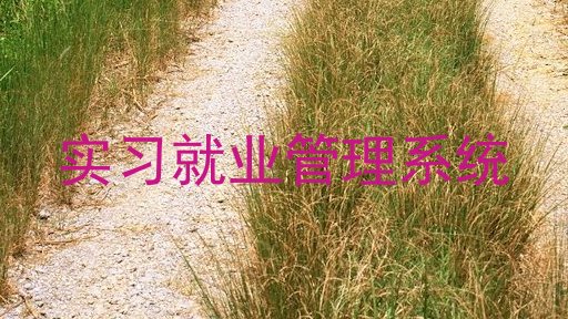 实习就业管理系统
