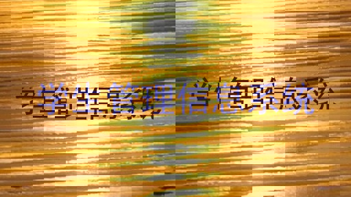 学生管理信息系统