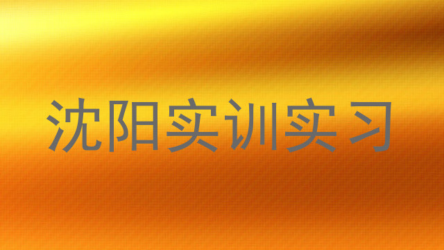 沈阳实训实习