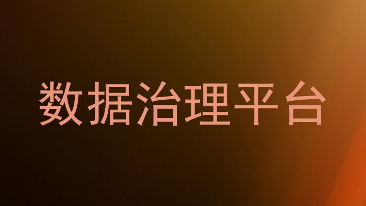 数据治理平台