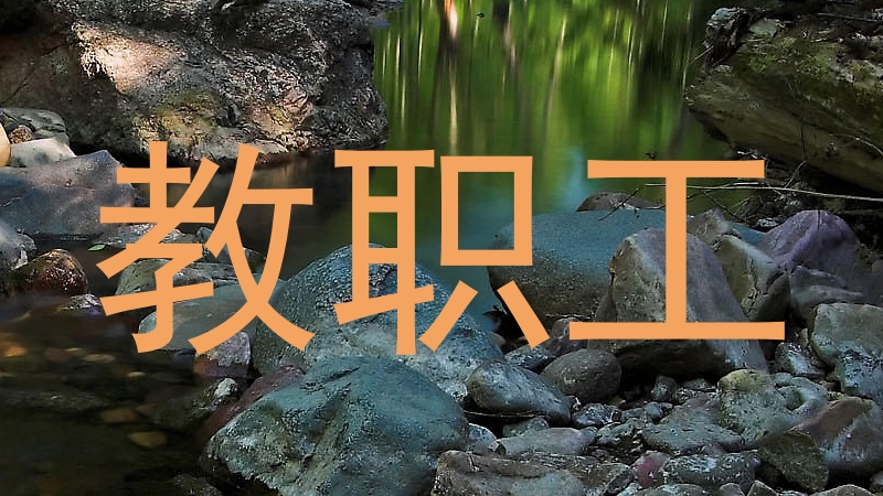 教职工