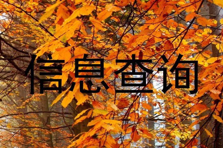 信息查询