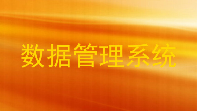 数据管理系统
