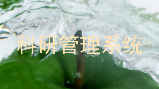科研管理系统