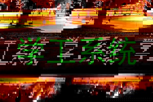学工系统