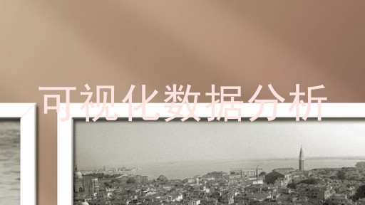 可视化数据分析