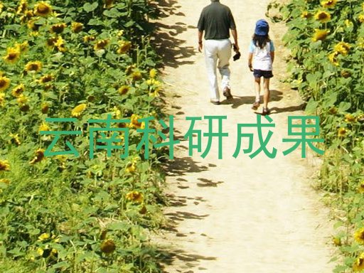 云南科研成果