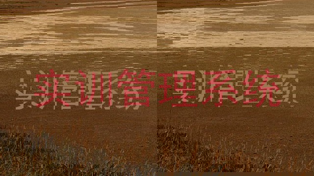 实训管理系统