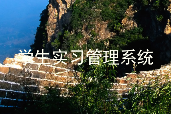 学生实习管理系统