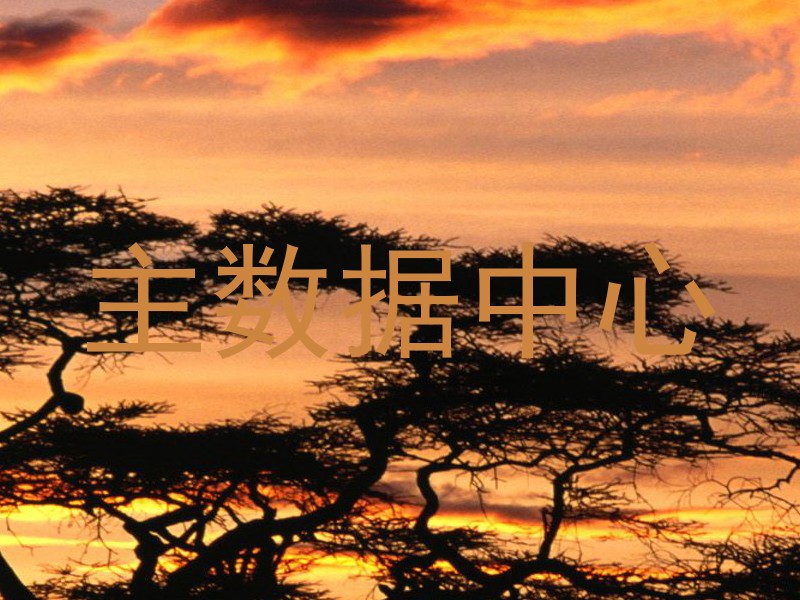 主数据中心