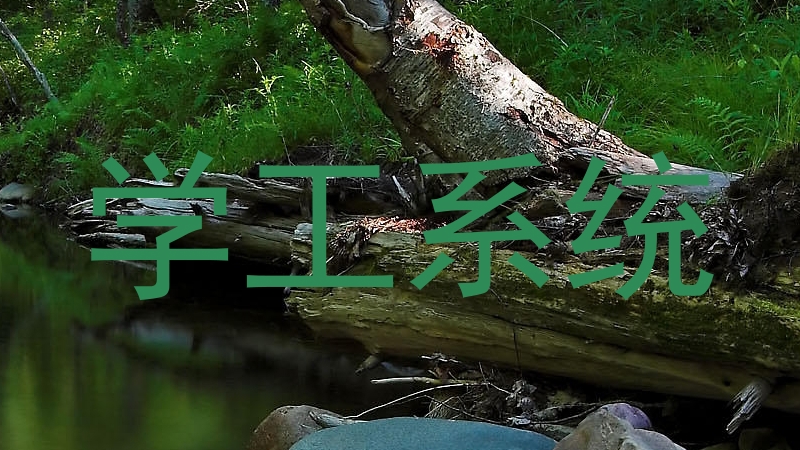 学工系统