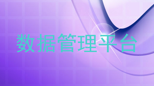 数据管理平台