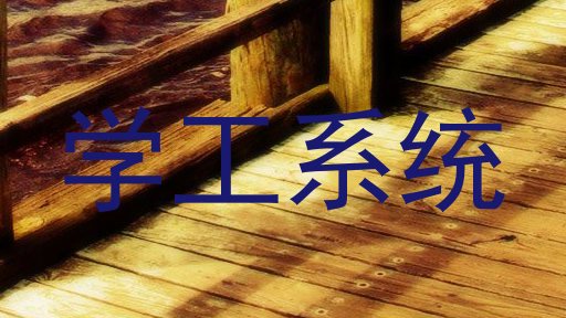 学工系统