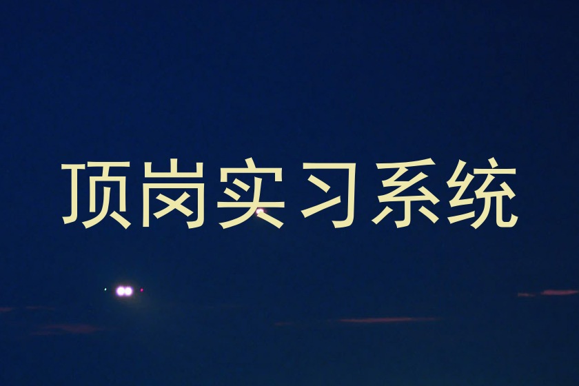 顶岗实习系统